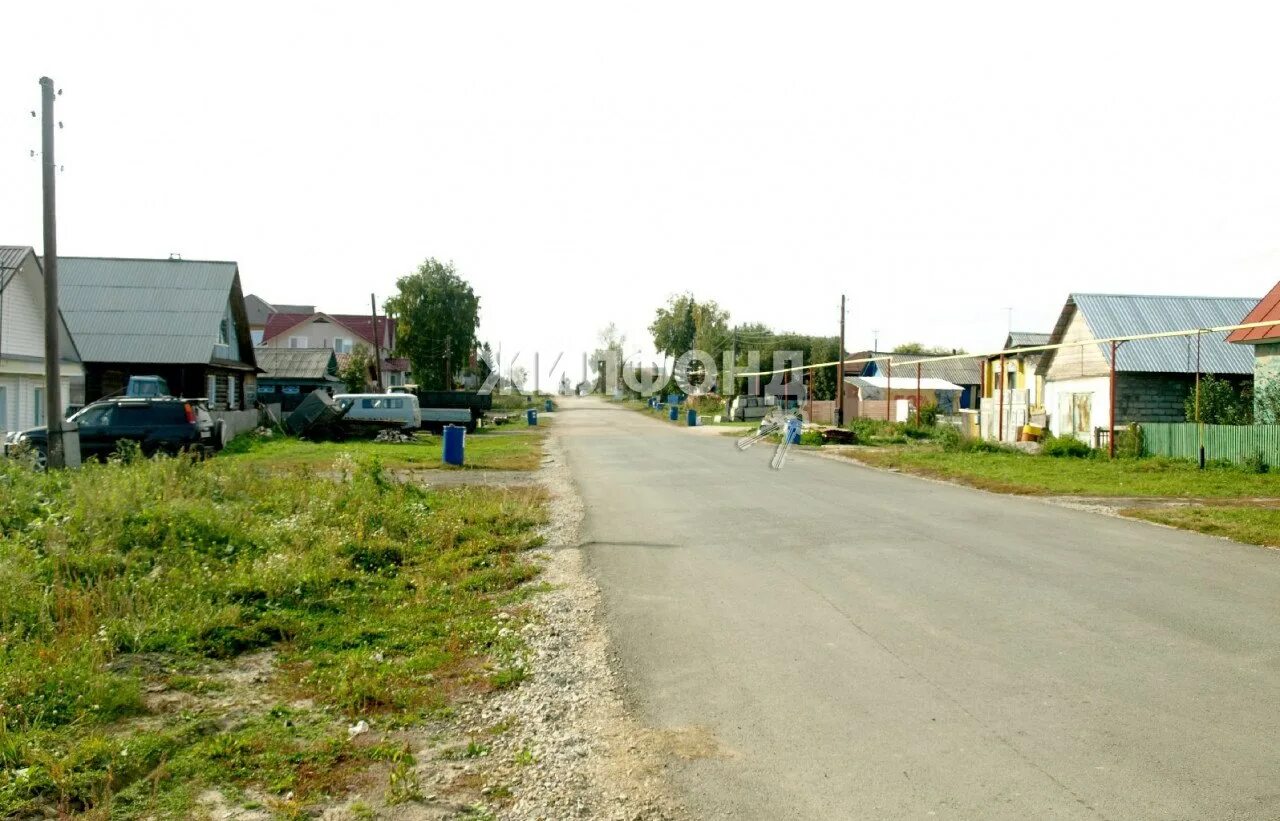 Хуторок Колыванский район