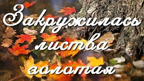 Закружился золотая