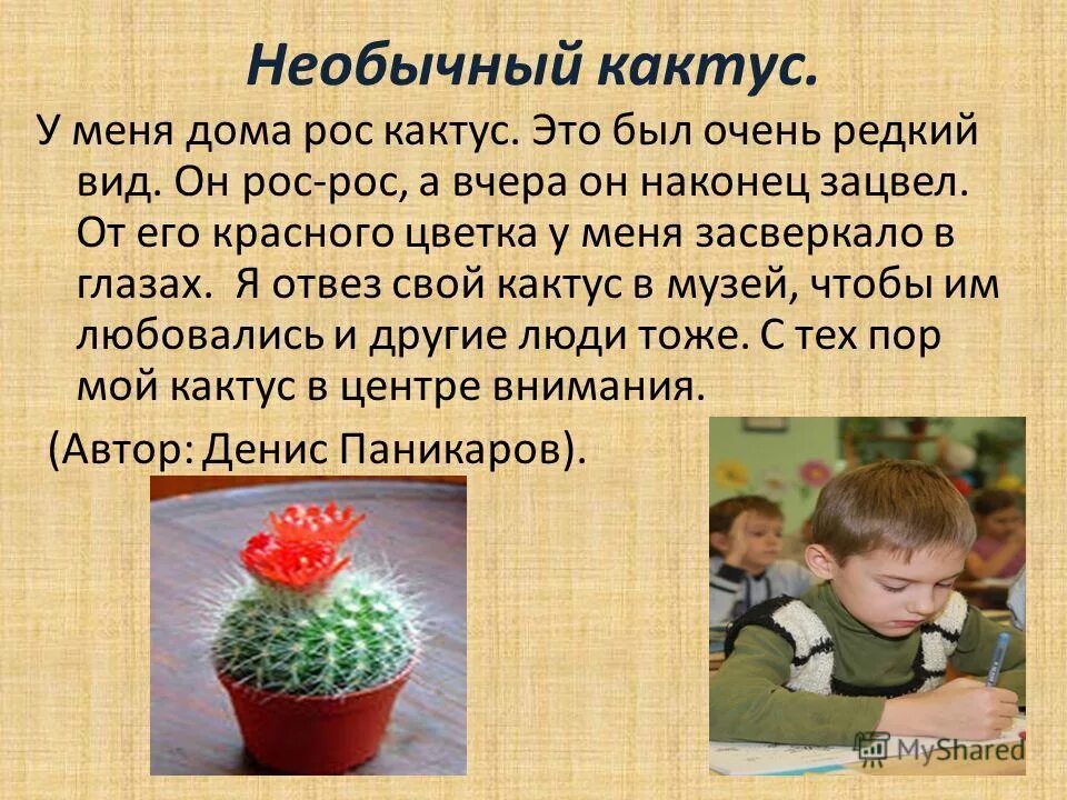 Проект про кактусы 6 класс Картинки О КАКТУСЕ 2 КЛАСС