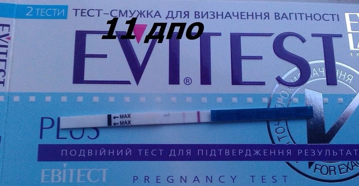 11 ДПО тест. Ложноположительный тест 11 ДПО. Тест на беременность 11 день. Тест на беременность на 11 день после овуляции.