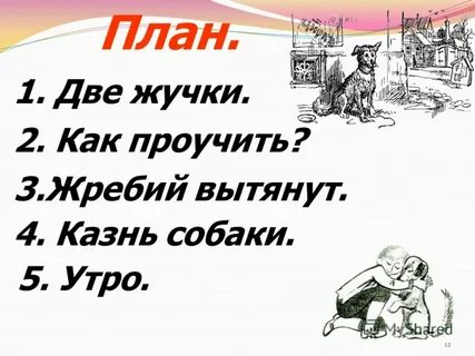 Наша жучка