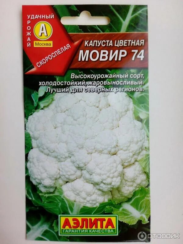 Сорта цветной капусты для открытого грунта