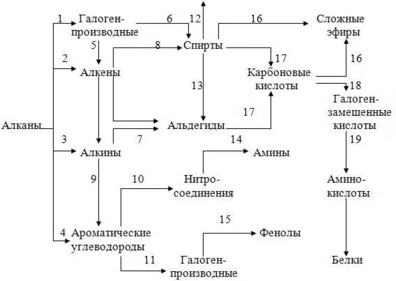 Схема генетической связи между классами органических соединений. Генетические Цепочки органических веществ. Схема взаимопревращения органических веществ. Генетическая взаимосвязь между классами органических веществ. Цепочки превращений карбоновые кислоты