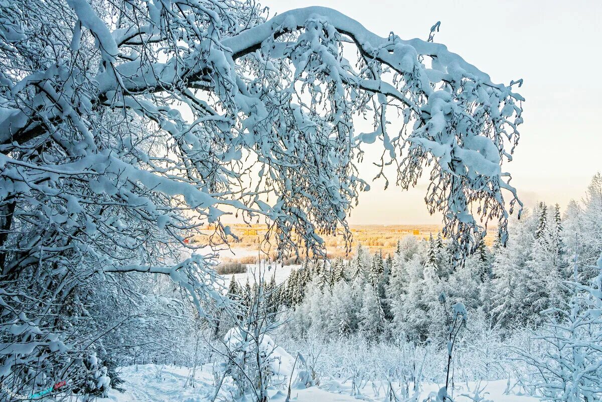 иней десублимация. красивая зима. морозная зима. январские морозы. морозный день.