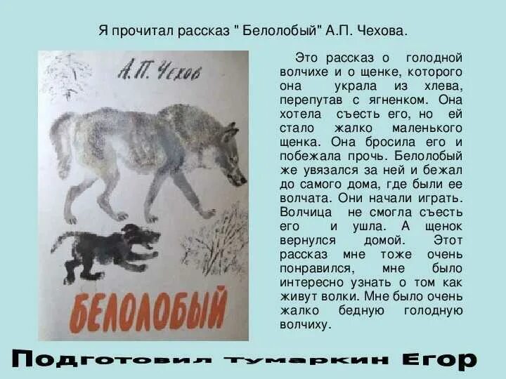 Небольшой рассказ про. А.П.Чехов белолобый рассказ. Белолобый краткое содержание. Белолобый Чехов краткое содержание. Краткий пересказ белолобый.