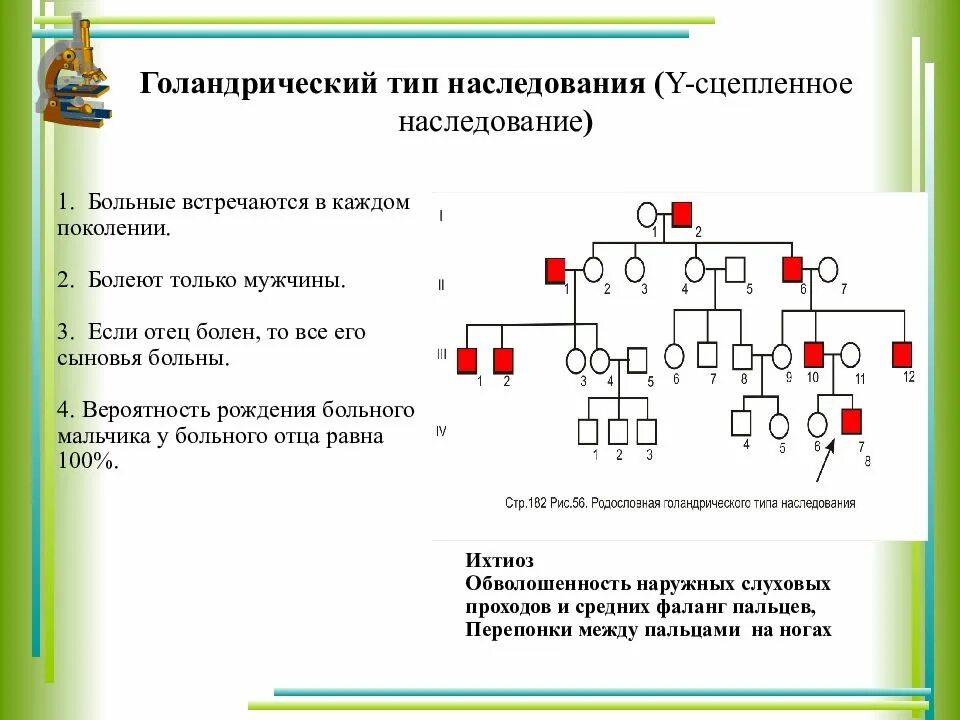 Голандрический тип наследования егэ