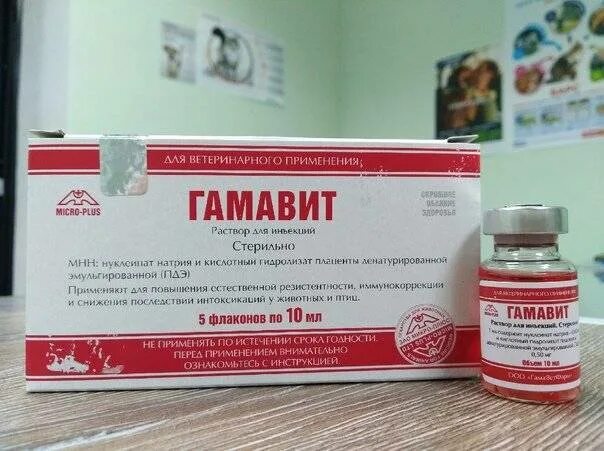 Гамавит для собак для чего. Гамавит, раствор, фл. 100 мл. гамаветфарм гамавит 10мл. гамавит 6мл витамин. иммуномодулятор (1 шт). гамавит 6 мл.