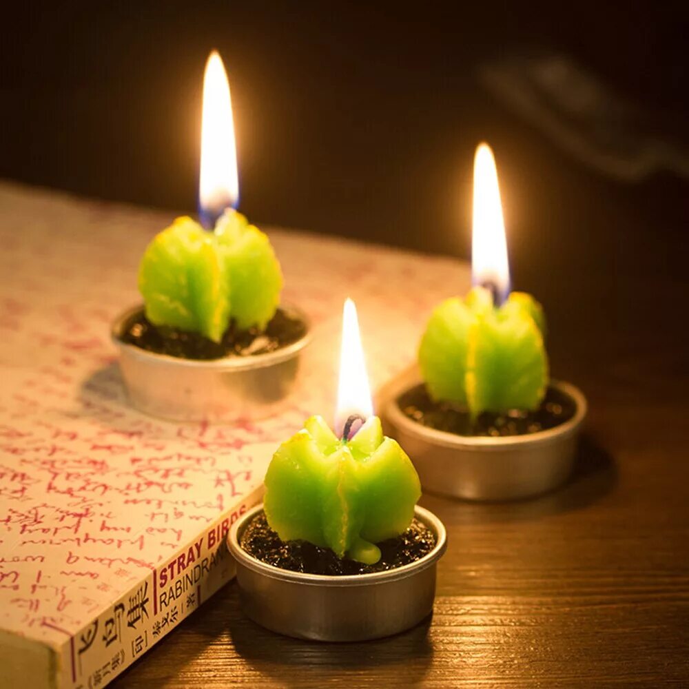 свечи плоские круглые. свеча кактус. свечи таблетки. свечи декоративные на батарейках. лампа в виде свечи.