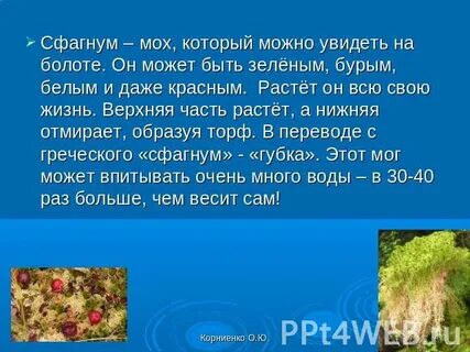 Вставьте в текст мхи