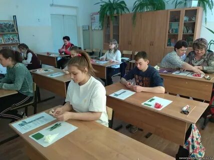 Школа 4 с овз