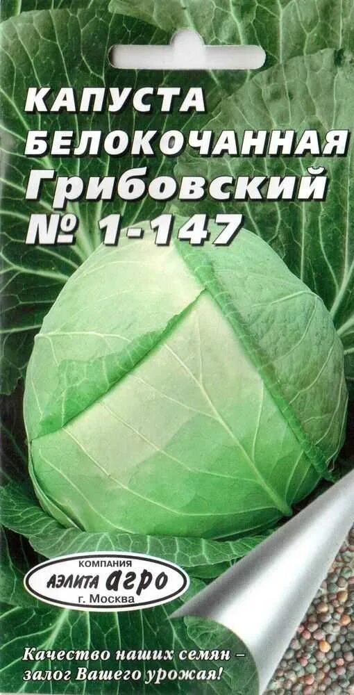 Капуста номер первый грибовский 147. Капуста белокочанная Грибовский. Капуста белокочанная номер первый Грибовский 147 Гавриш. Капуста белокочанная Грибовский 147 рассада. Капуста Грибовский номер 1.