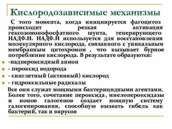 Кислороднезависимые механизмы фагоцитоза. Механизмы бактерицидности макрофагов. Кислороднезависимые механизмы фагоцитоза. Фагоцитирующие клетки таблица. Стадии фагоцитоза схема.