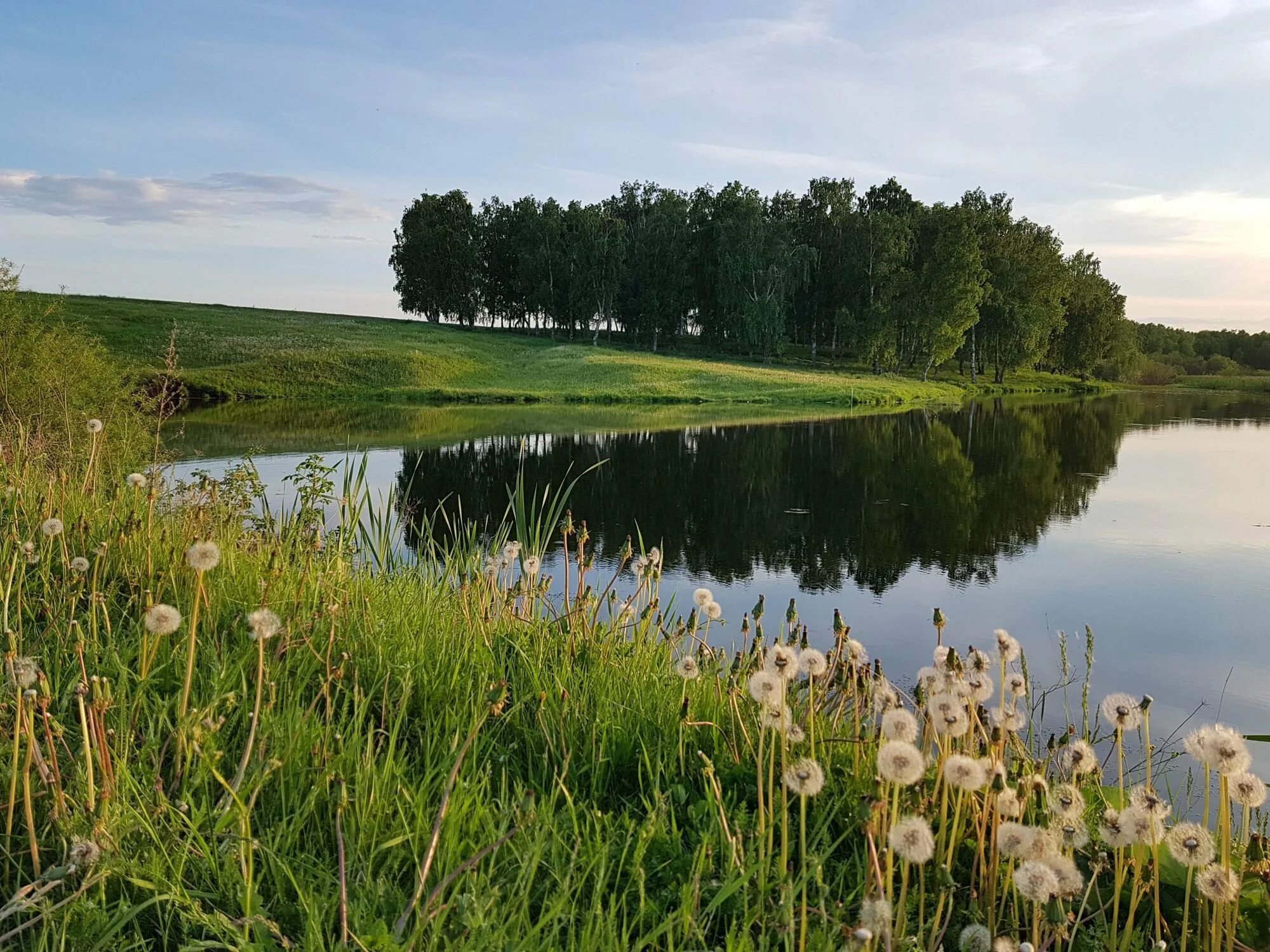 Средняя полоса страны. Курганская природа Курганской области. Природа Зауралья Курганская область. Курганская область природа лето. Орловское Полесье природа лес пруд река.