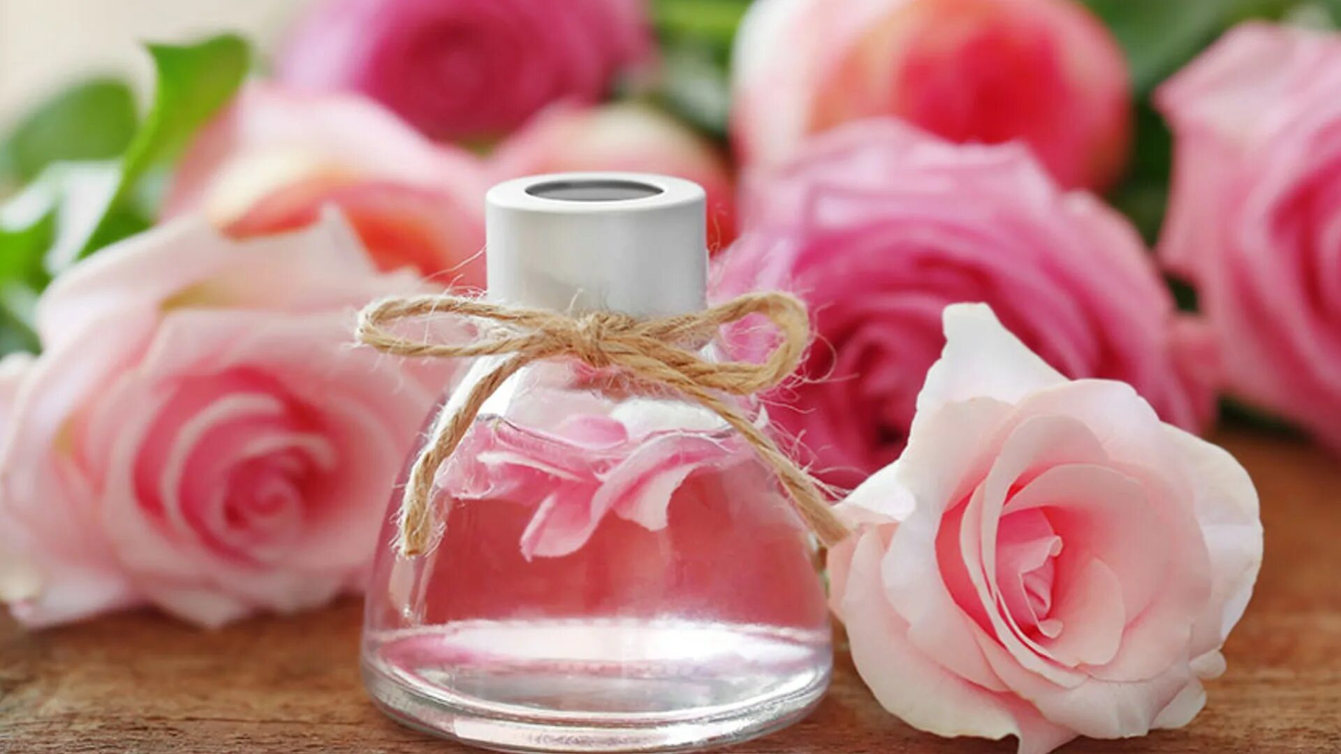 Запах розового масла. Розы маслом. Розовое масло. Аромамасло розы.