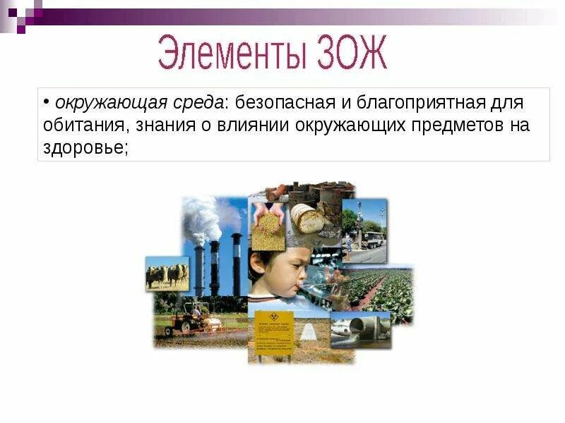 Международная защита окружающей среды. Благоприятная окружающая среда презентация. Право на благоприятную окружающую среду. Благоприятная окружающая среда право. Экологическое право презентация 10 класс.
