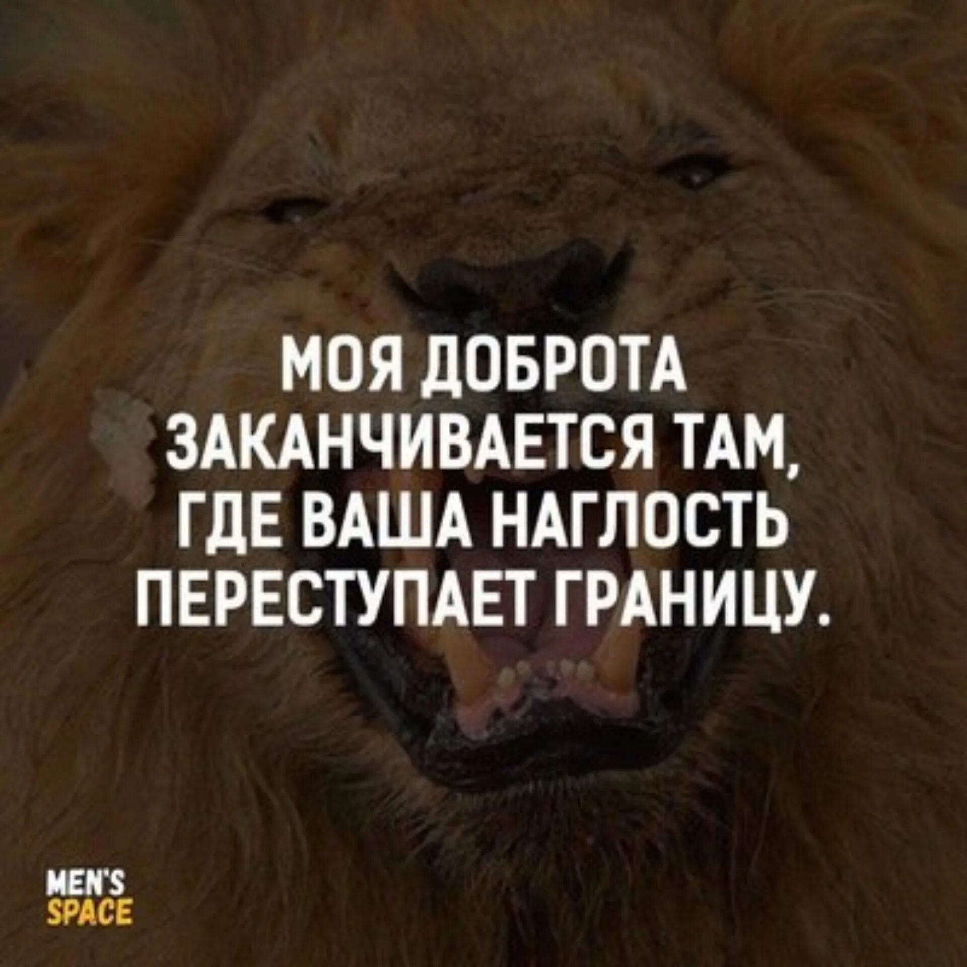 Цитаты про наглость