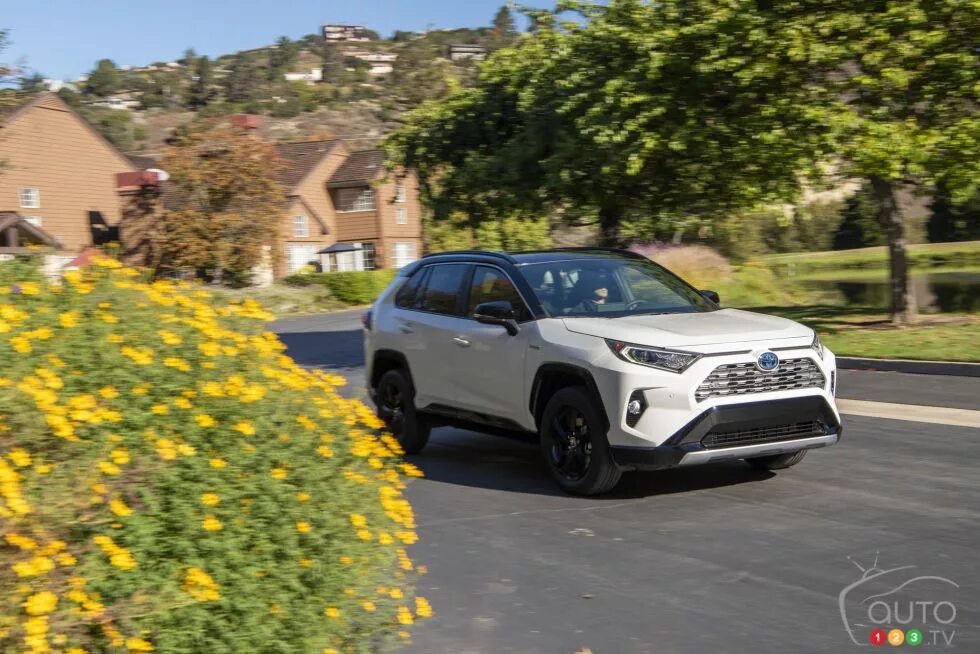 Toyota rav4 Hybrid XSE. Форд рав 2019. 2019 Rav4 Issues. Toyota rav4 Hybrid XSE girl.