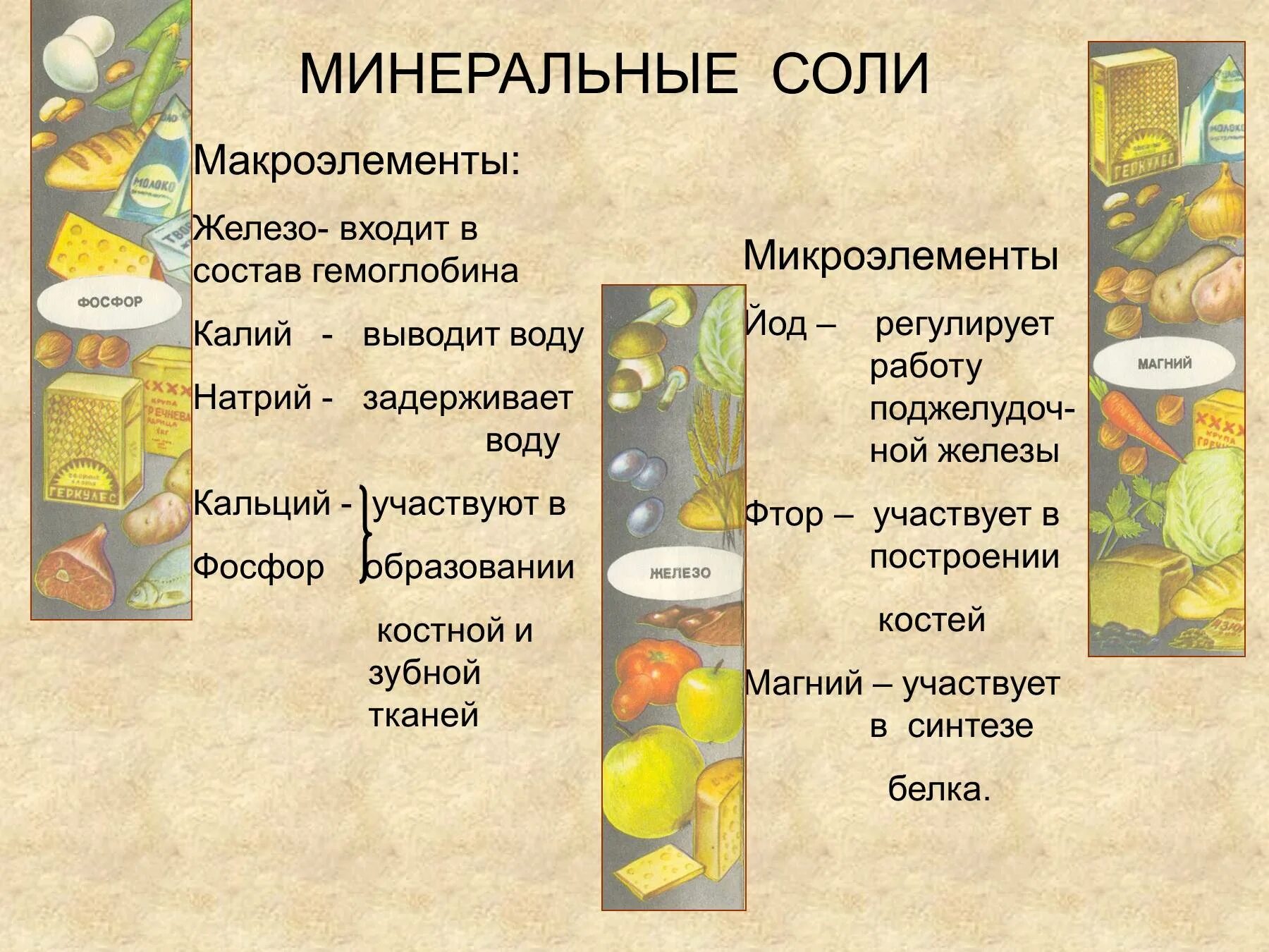 Минеральные вещества содержащие ответ. Минеральные вещества содержащие ответ