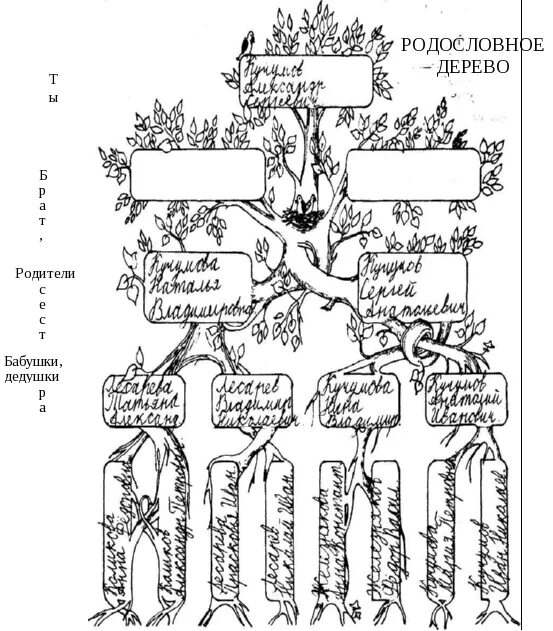 Родословное дерево 2 класс. Родословное дерево рисунок 3 класс. Кем были твои предки. Кем был твой прадед на Руси свою фамилию спроси. Кто были твои предки по фамилии