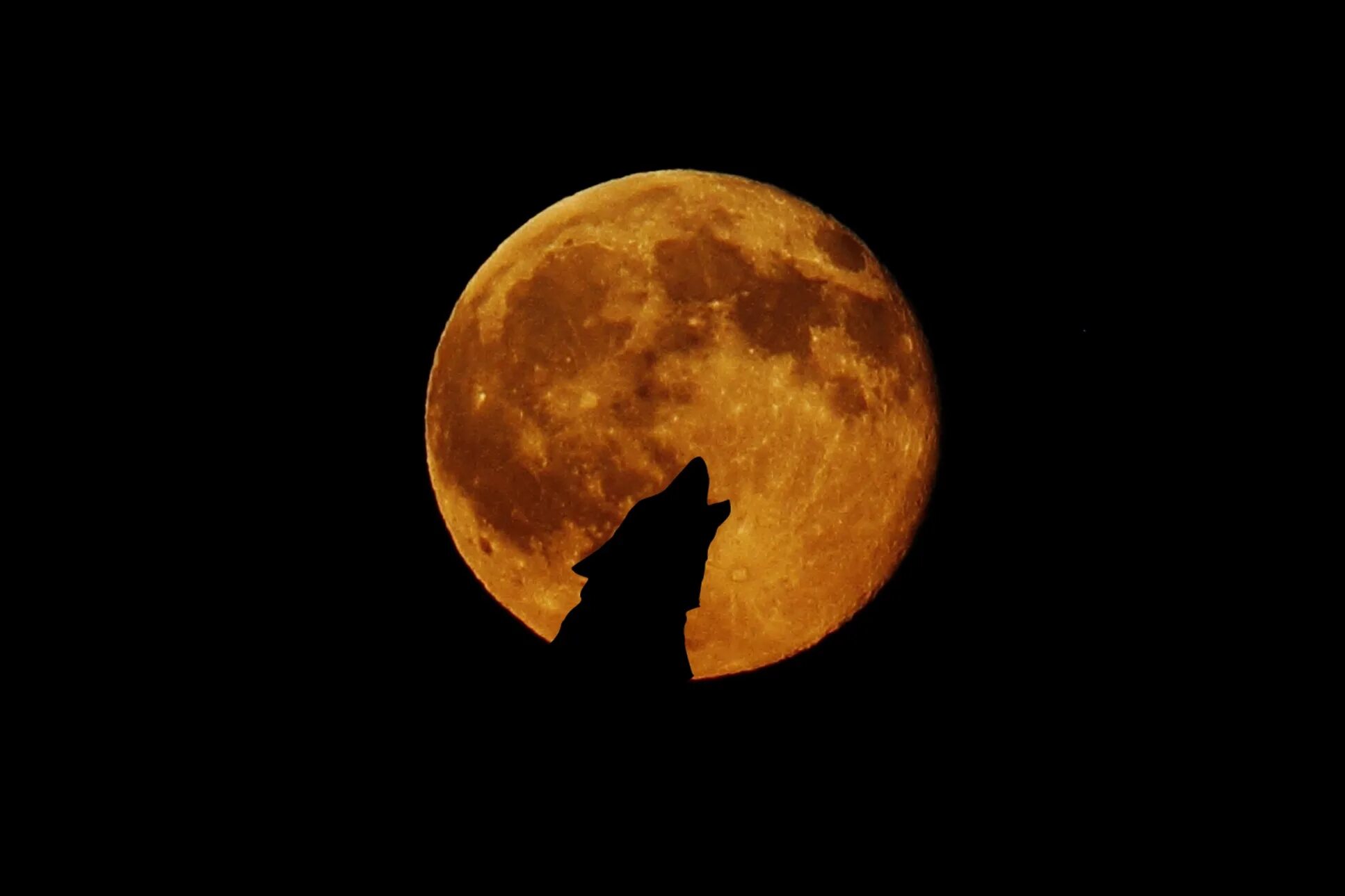 Полнолуние. Оранжевая Луна. Луна полнолуние. Желтая Луна. Moon pics