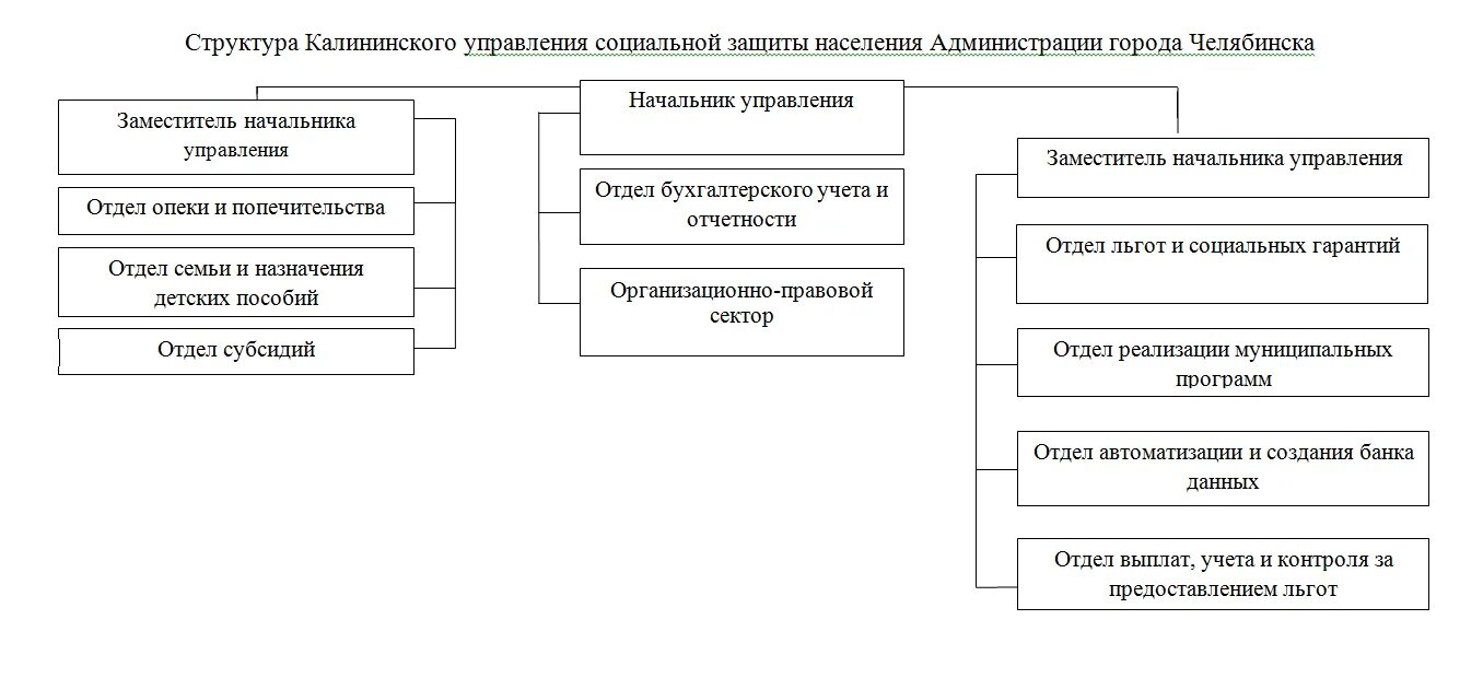 Управления социальной защиты челябинска. Структура отдела социальной защиты. Управление социальной защиты населения администрации города. Структура Калининского управления. Структура отдела социальной поддержки населения.