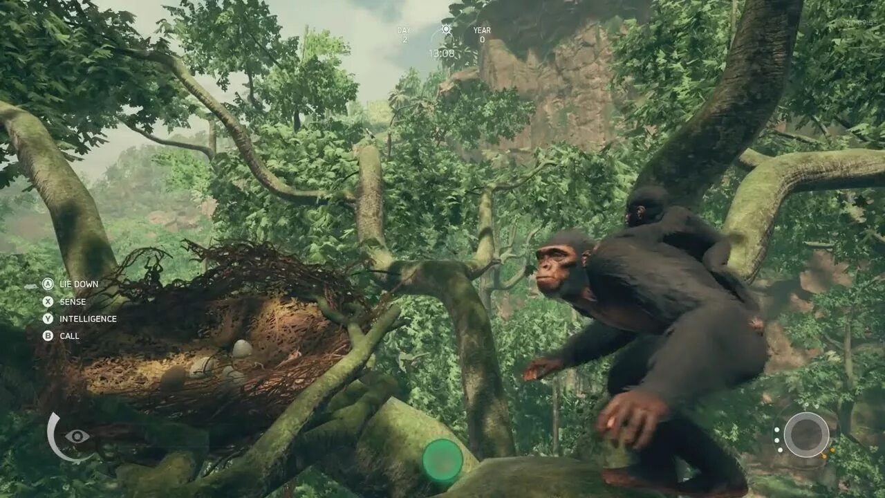 Анцесторс обезьяна. Игра про эволюцию обезьян. Игра про обезьян стим. Стратегия про обезьян. Шимпанзе играть