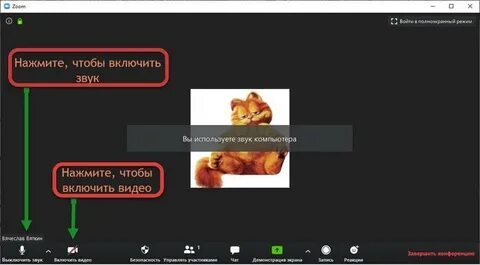 Включить видео которое я хочу
