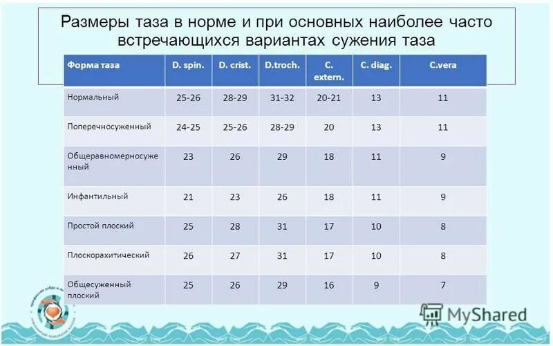 Таблица размеров таза акушерство