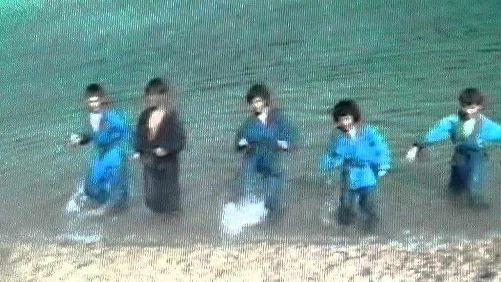 Драка за воду игра. Нападение лебедя. Драка в воде. Дерутся в воде. Драка под водой фильм.