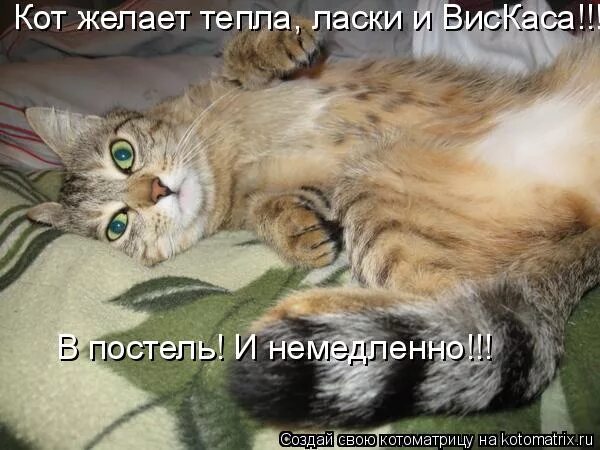 хочу ласки тепла. хочу ласки тепла. хочу ласки тепла. нежности прикольные. хочу ласки тепла.