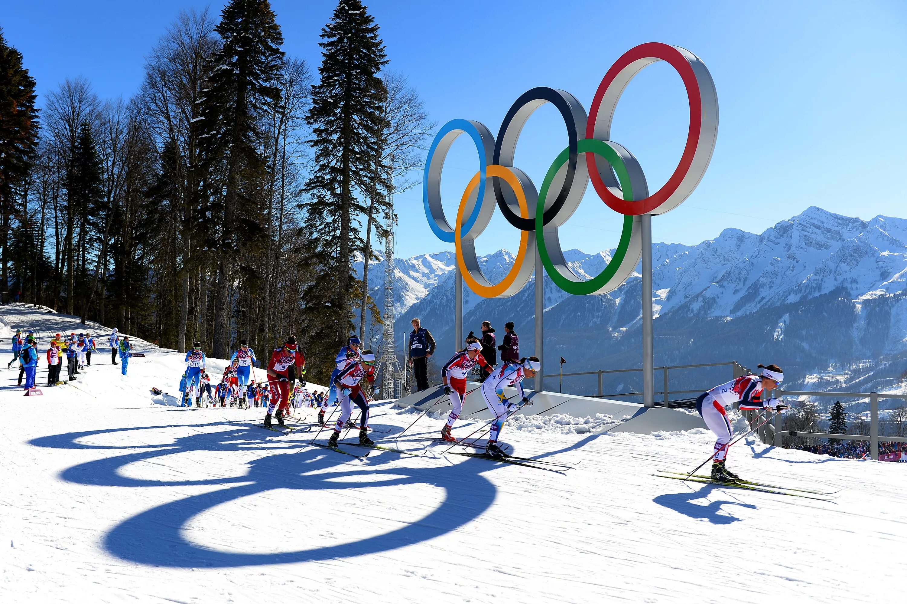 Sochi 2014 winter olympics игра. Лыжники на олимпиаде в сочи. Горнолыжник сочи 2014. Зимний спорт сочи. Скоростной спуск горнолыжный спорт.