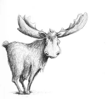 Рисунок лося