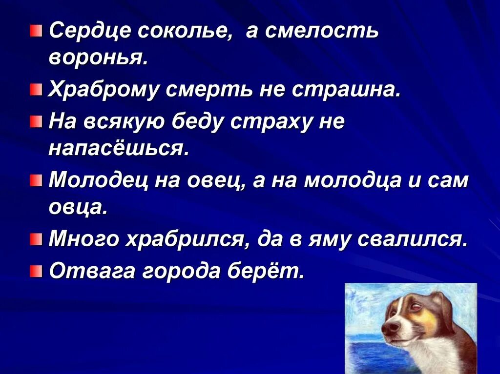 Барбос и жулька какой жанр произведения. План рассказа Куприна Барбос и Жулька. План к произведению Барбос и Жулька 4 класс. План Барбос и Жулька 4 класс. План рассказа Барбоса и Жульки.