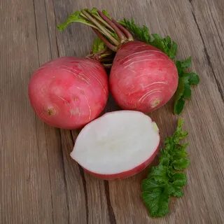 Крупная редиска
