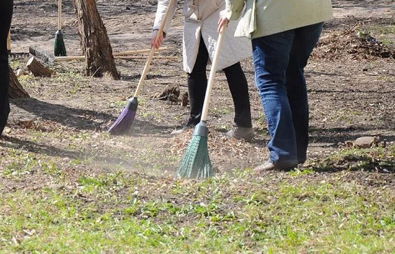 Clean collective. Городской субботник. Месячник по благоустройству картинки. 16. Месячник субботников.