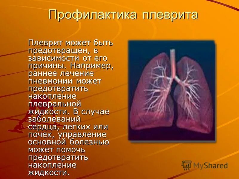 пневмония легких сердца