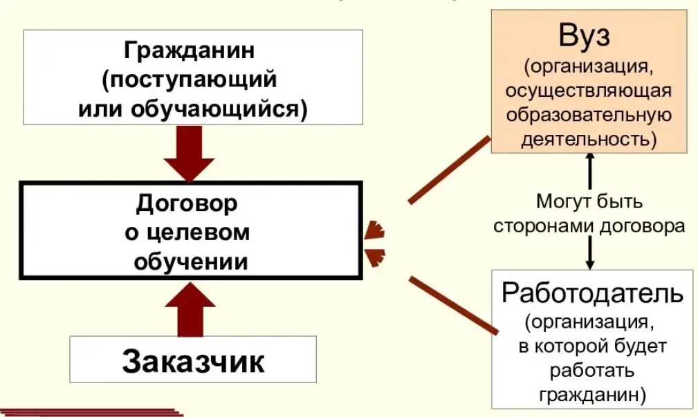 Целевое обучение. Целевое обучение схема. Целевая подготовка в вуз. Прием на работу по целевому обучению.