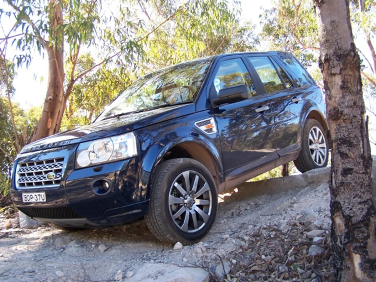 Freelander 2. Фрилендер 2 r19. Ленд Ровер Фрилендер 2 r20. Freelander 2 19 диски. Ленд ровер фрилендер авито