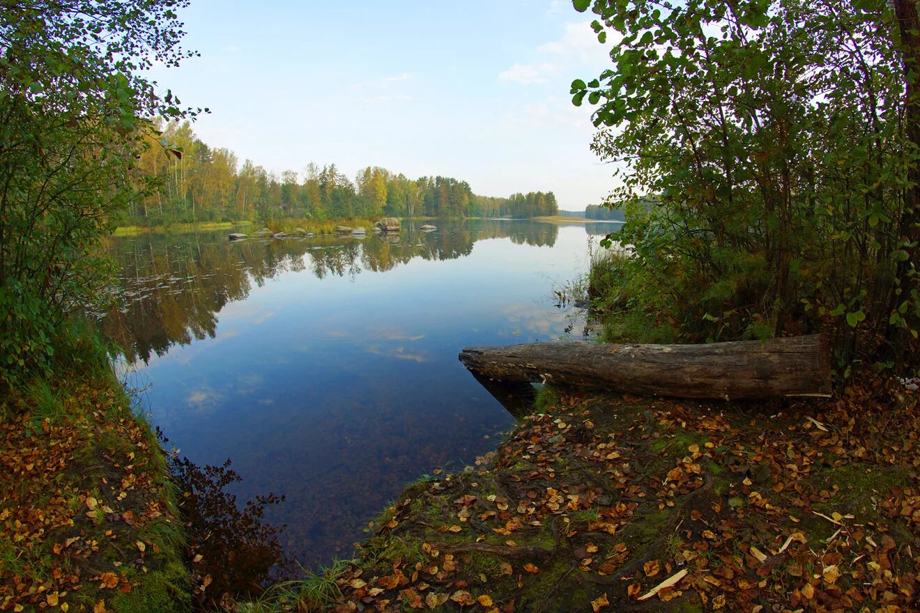 Река Вуокса Приозерск. Карельский перешеек река Вуокса. Озеро Вуокса Приозерск. Озеро озеро Вуокса, Ленинградская область.