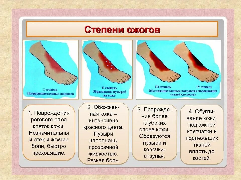 Вплоть прошедший