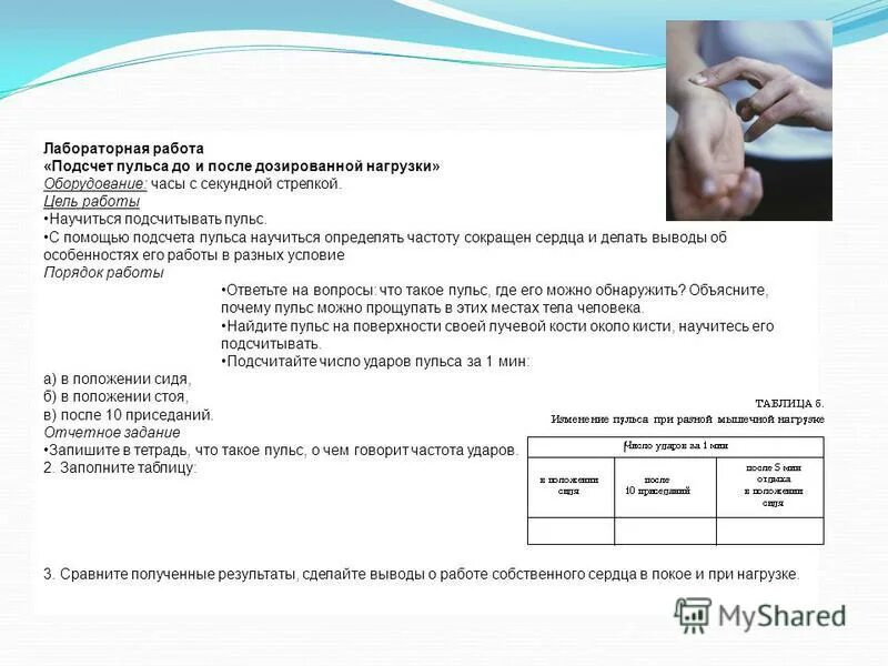 Лабораторная работа по биологии 8 пульс. Лабораторная работа по биологии 8 пульс