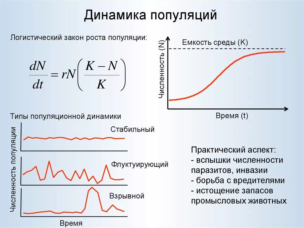 Какое значение популяции имеет емкость среды. Стабильный Тип динамики популяции. График динамики численности популяции. Взрывной Тип популяционной динамики. Динамика популяции 11 класс биология.