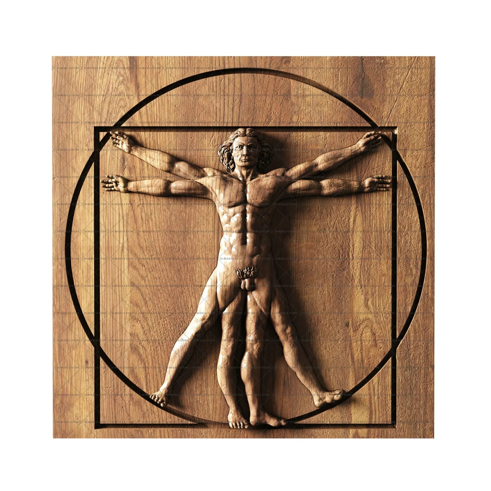 Витрувианская женщина леонардо да винчи. Витрувианский человек леонардо да ви. Леонардо да винчи человек в круге. Леонардо витрувианский. Человек леонардо да винчи.