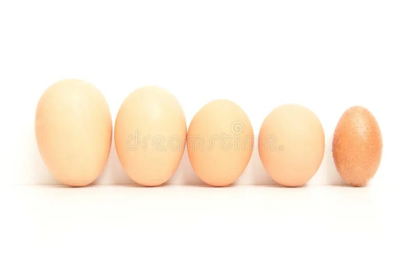 Пять яиц. Яйца 5 штук. Яйцо 5 шт. Пять яиц картинка.