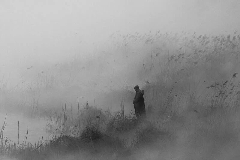 Позабытый брошенный. Одинокий в тумане. Человек уходящий в туман. Тени в тумане. Человек в тумане.