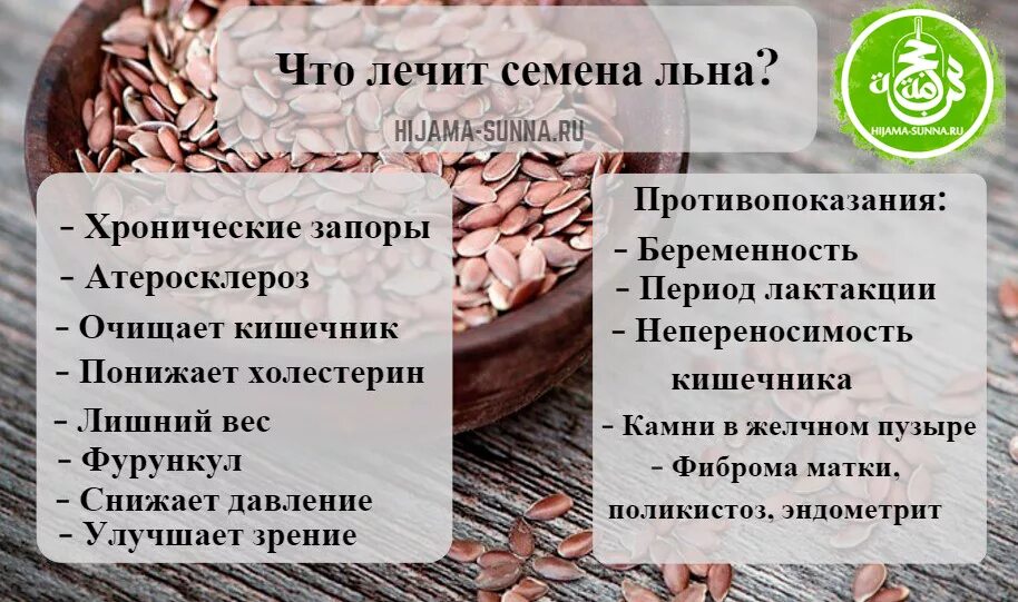 Что будет если есть лен каждый день. Для чего полезны семена льна. Чем полезен лен. Чем полезно льняное семя. Чем полезны семена льна.