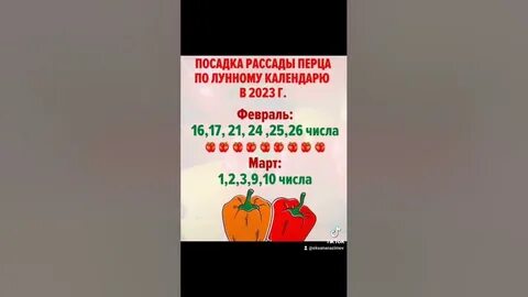 перцы по лунному календарю