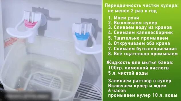 Как часто мыть кулеры ответ