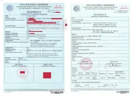 Import customs clearance begins перевод