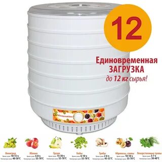 Сушилка для овощей ветерок отзывы